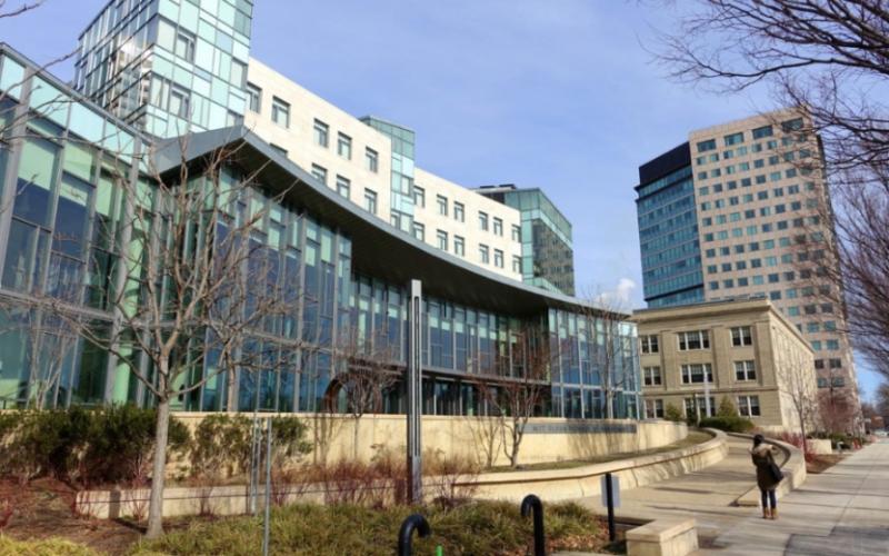 Ngành học tại trường đại học MIT Sloan School of Management