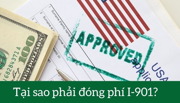 tại sao phải đóng phí I901